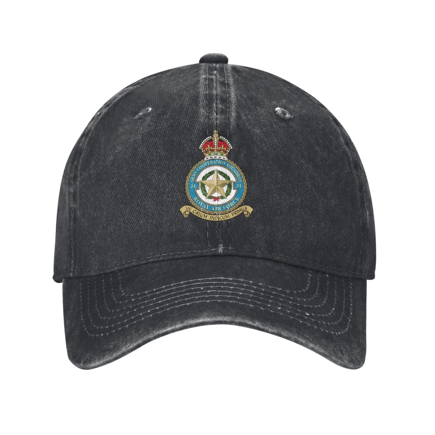 31 Army Co-operation Squadron Printed unisex baseball cap adjustable cap outdoor trucker hat veterans Gifts