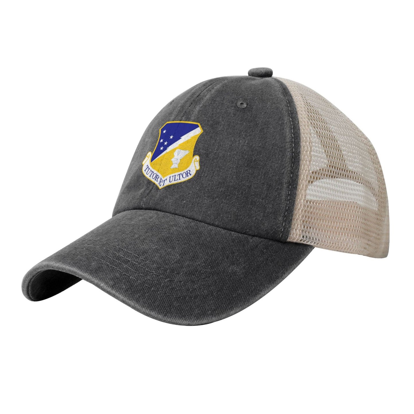 49th Fighter Wing Printed unisex baseball cap adjustable grid baseball cap veteran gift