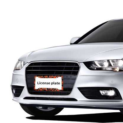 Cleveland Browns Print Car license plate frame four hole license plate holder (one pair)