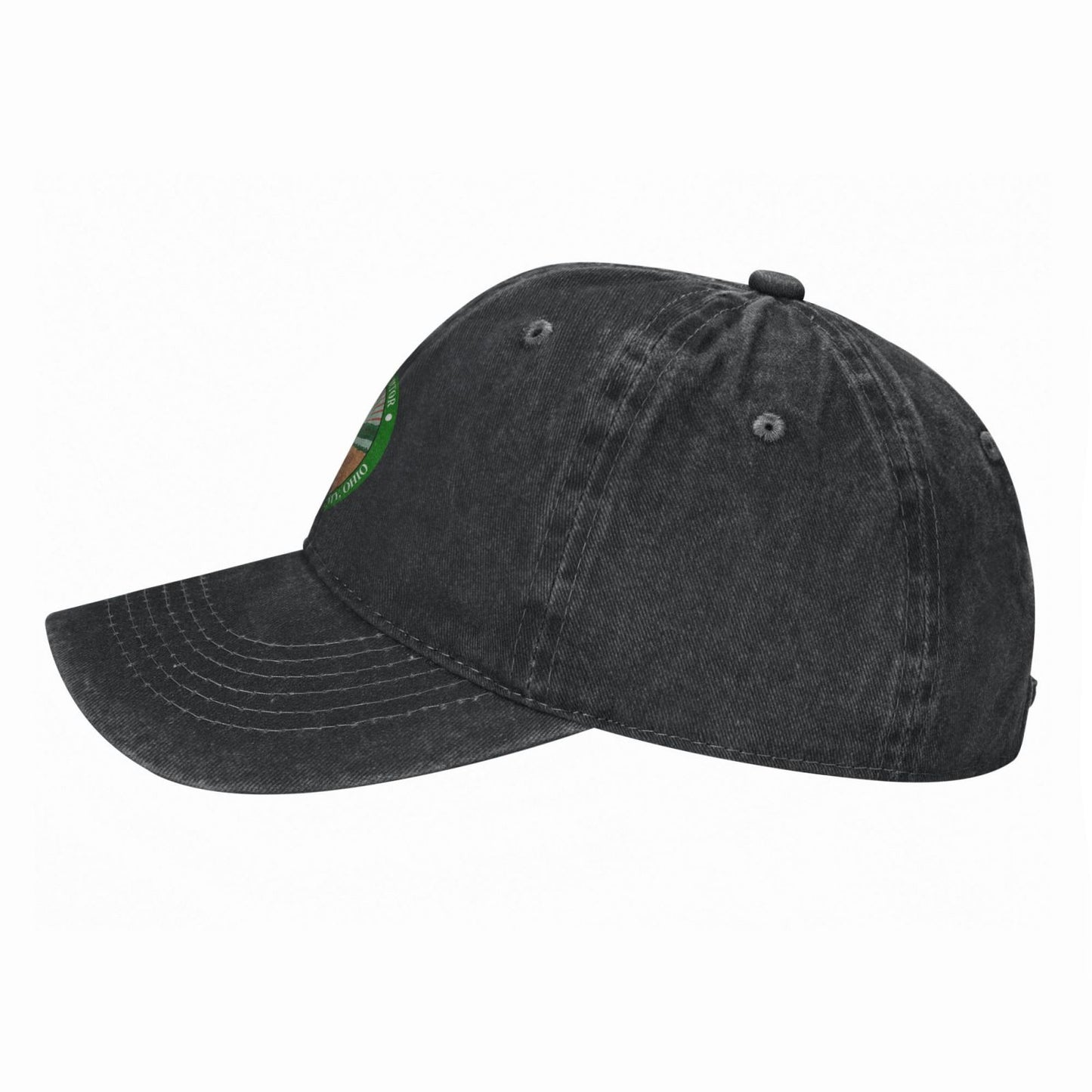 Seal Of Ashtabula County (Ohio) Auditor Printed unisex baseball cap adjustable cap outdoor sun hats trucker hat